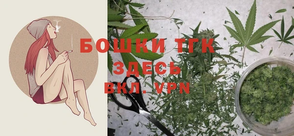 мдпв Волосово